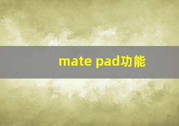 mate pad功能